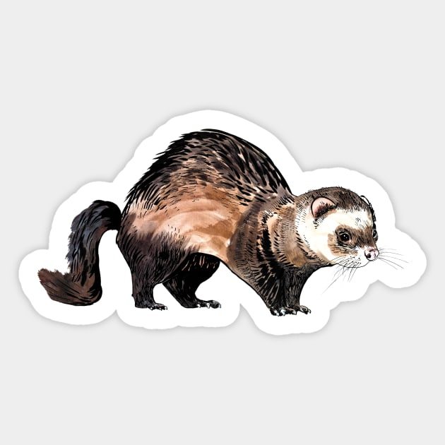 ferret Sticker by VicaVeresk